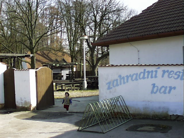 PIC00003.jpg (72552 bytes)