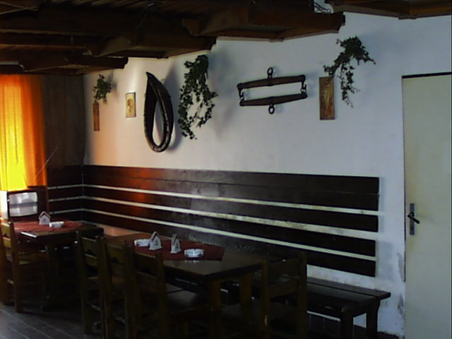 PIC00007.jpg (49720 bytes)